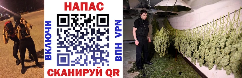Продажа наркотиков Сердобск ГАШИШ  Бошки Шишки  ссылка на мегу маркетплейс  МЕФ  COCAIN  Псилоцибиновые грибы 