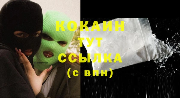 стаф Арсеньев