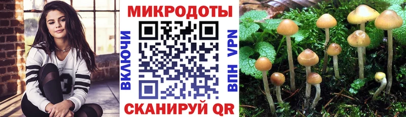 сайты даркнета официальный сайт  Сердобск  Галлюциногенные грибы Psilocybine cubensis 